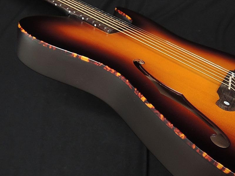 SCHECTER OL-FL-P TSB Oriental Line Schecter Thin Body Acoustic Guitar F-Hole