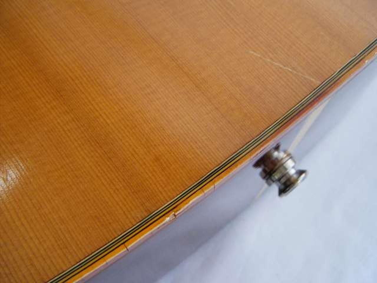 Takamine Elite WG20 MIJ 12-String Acoustic Guitar Vintage Japan