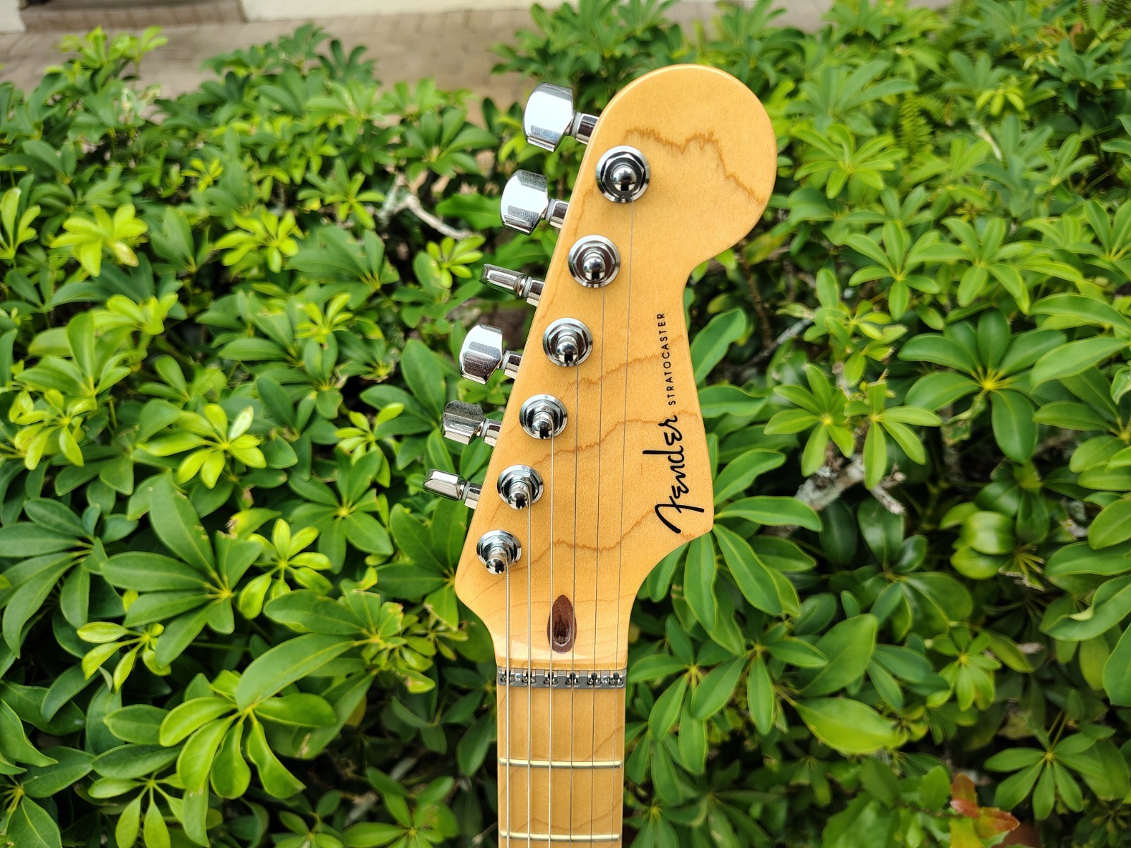 2002 Fender American Deluxe Stratocaster Black Fat Strat *UNPLAYED*