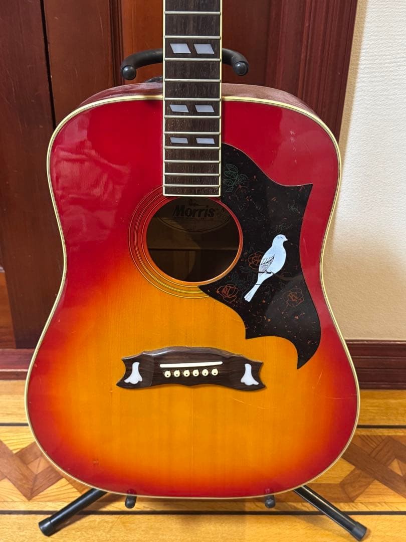 Rare Morris WD-25 acoustic guitar hummingbird type