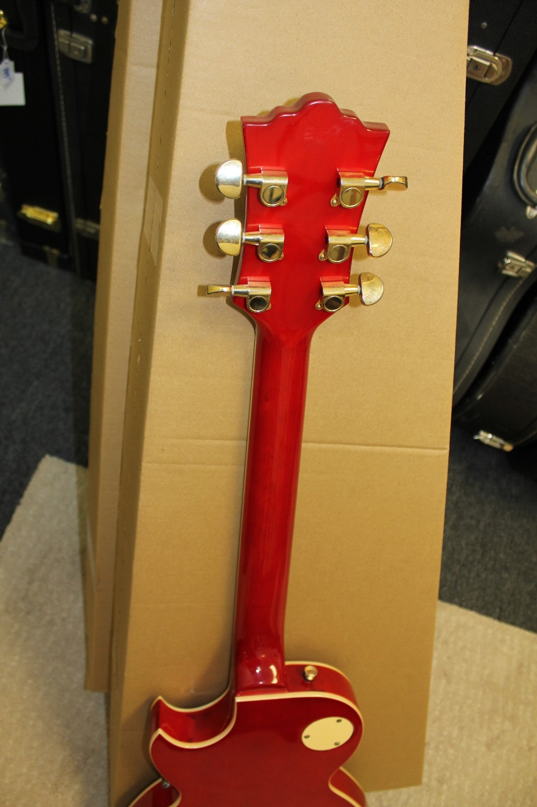 Arbor AP230 Single Cut LP Style Electric Guitar w/Bag