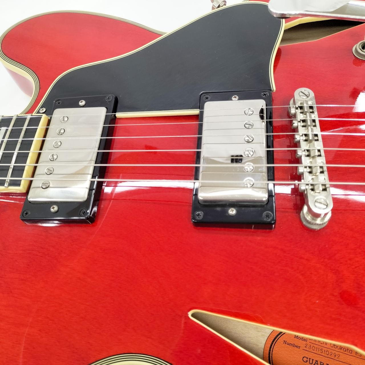 EPIPHONE Shinichi Ubukata ES-355 bigsby Electric Guitar