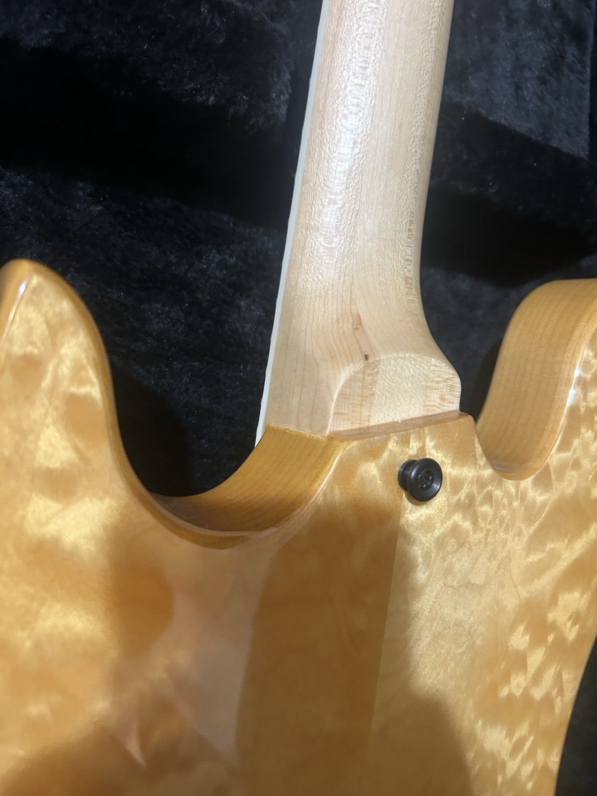 Zak Wylde Audio Nomad Norse Dragon Electric Guitar Hard Case EMG Natural