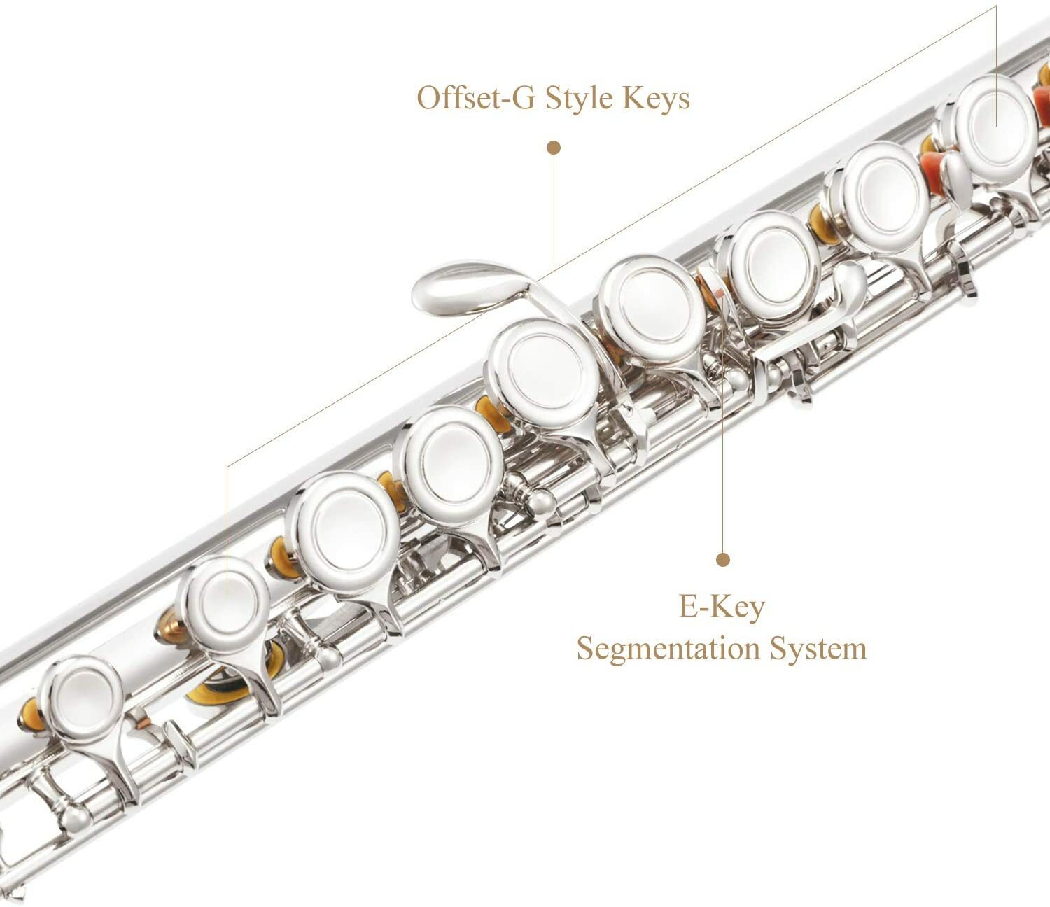 Eastar Closed Hole 16 Keys C Flute Musical Instrument for School Student Kids