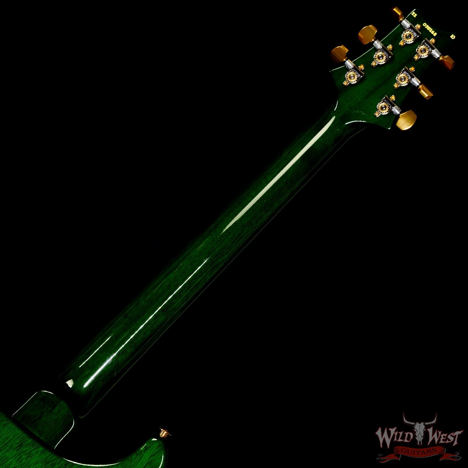 Paul Reed Smith PRS Core 10 Top Special Semi-Hollow (Special 22) Eriza Verde