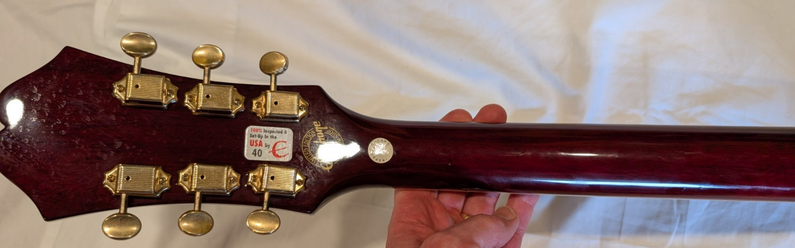 Epiphone Riviera P93 WR 6 String Rosewood Semi-Hollow Electric Guitar with Bag