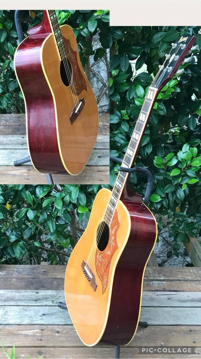 Bunny BH-75 Hummingbird