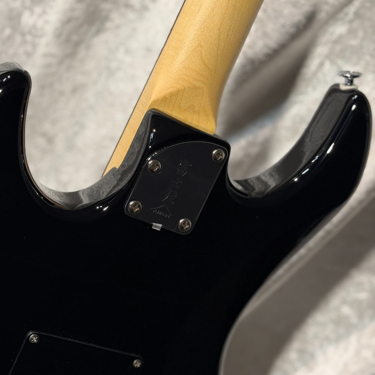 FUJIGEN FGN JOS2-TD-EW1-R ~Dark Mocha Burst~ #D250003 3.51kg Corina top