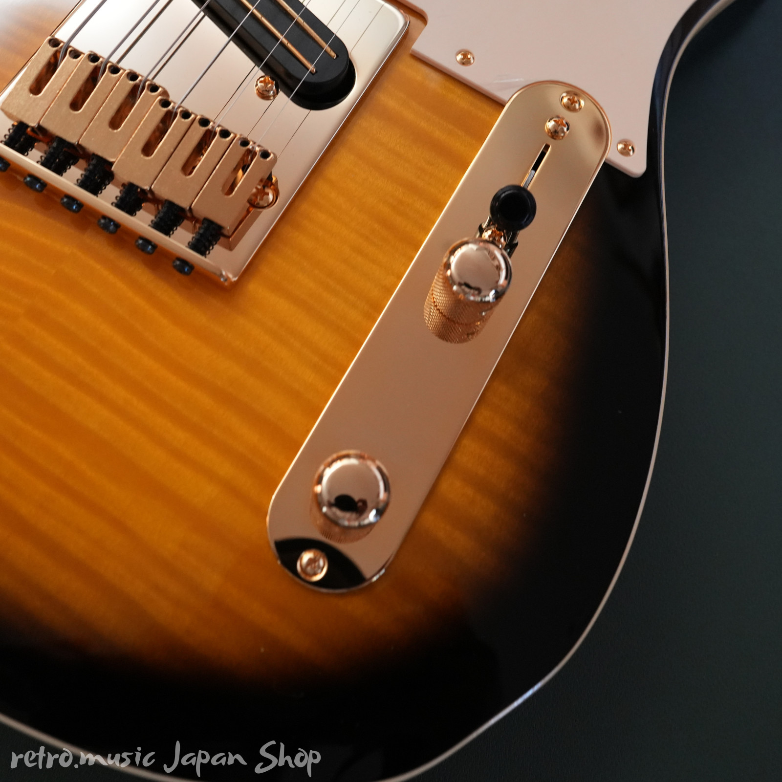 Fender Japan Exclusive Richie Kotzen Tele Brown Sun with gig bag