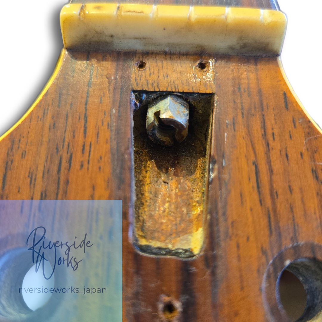 Rare YAMAHA FG-440 Green Label Vintage New Jacaranda