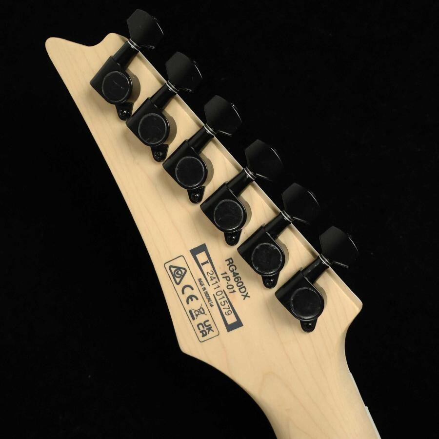 Ibanez RG460DX-BLH (Blue Haze)