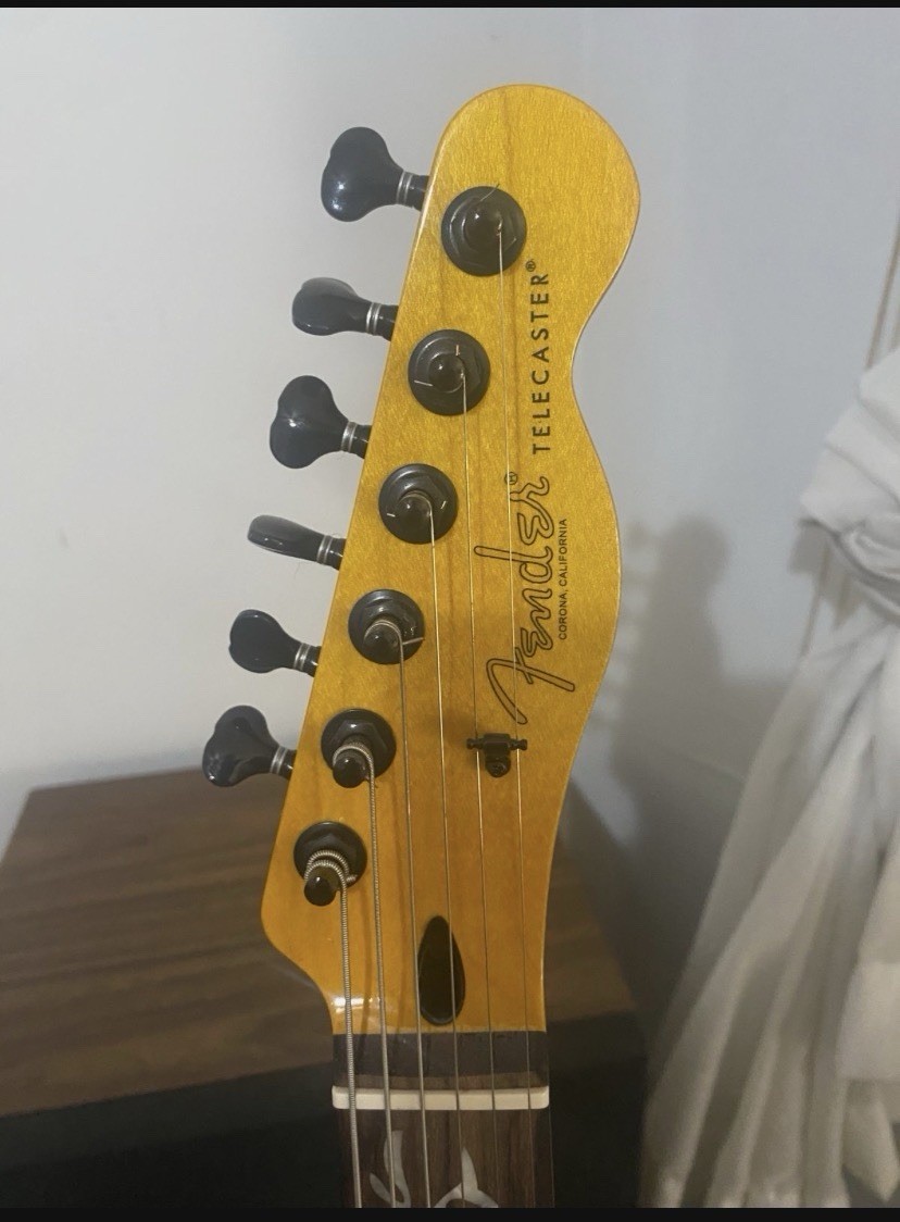 2022 Custom Fender Tele(parts)caster