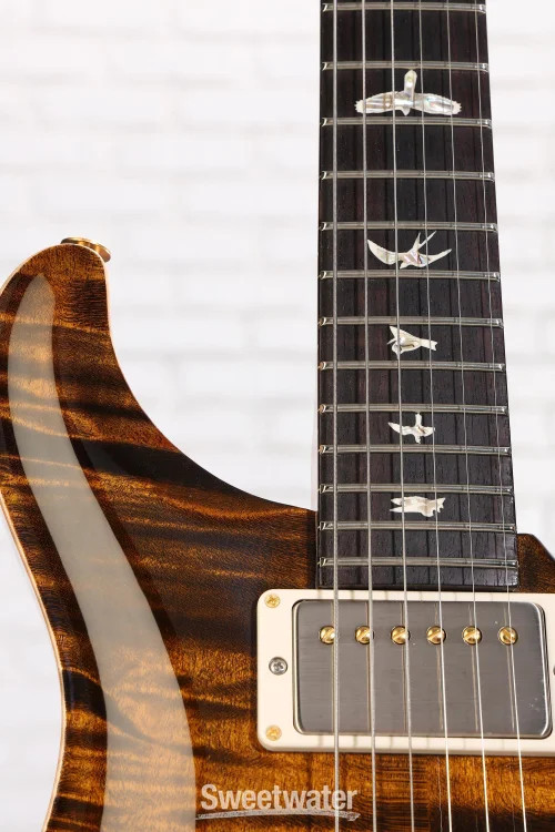 PRS DGT Electric Guitar with Bird Inlays – Tiger Eye, 10-Top