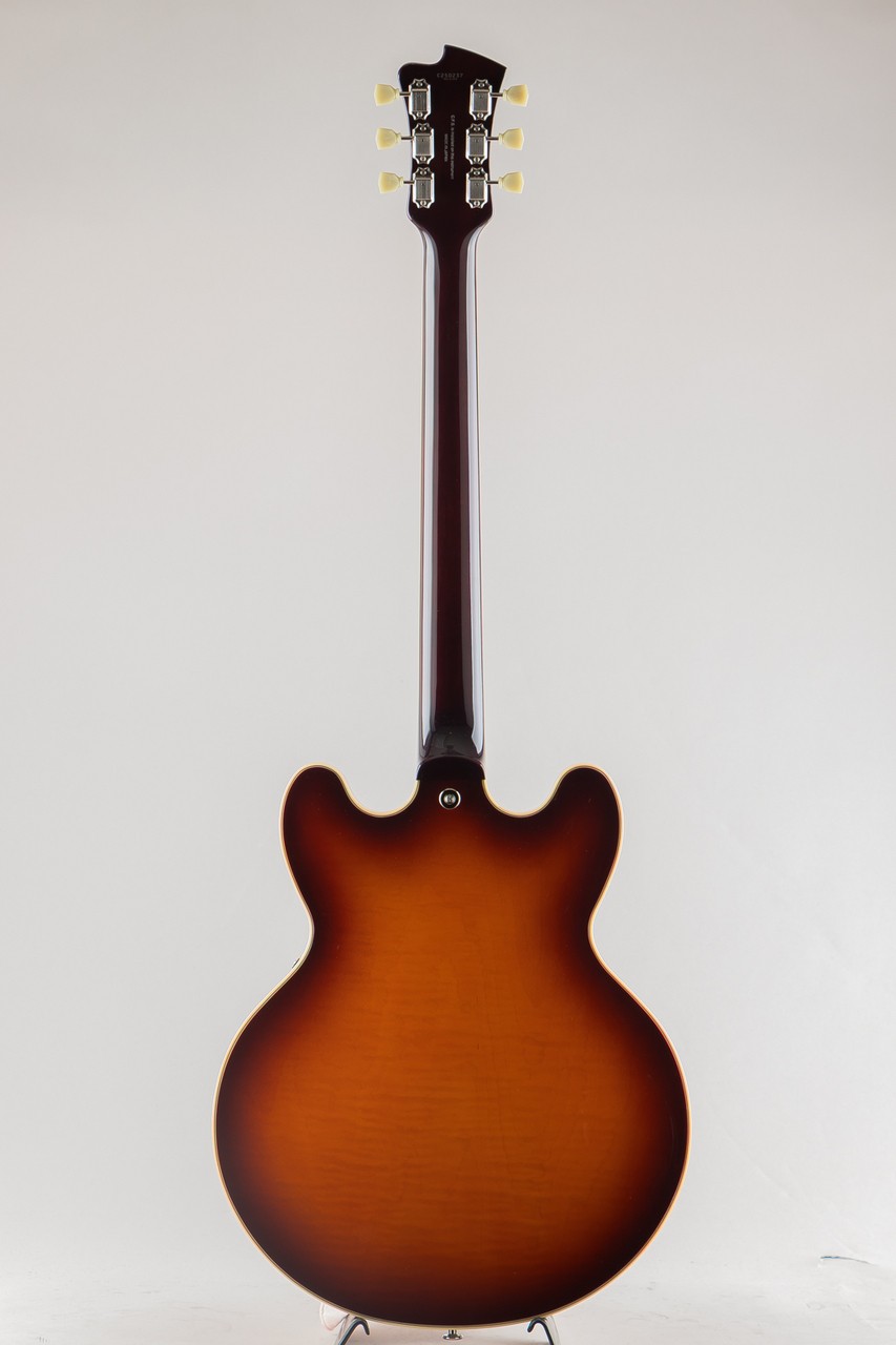 FUJIGEN(FGN) MSA-HP / Antique Sunburst #GGc5n
