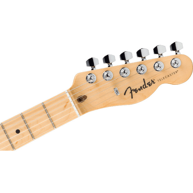 Fender Standard Telecaster®, Maple Fingerboard, Black Pickguard, Butterscotch