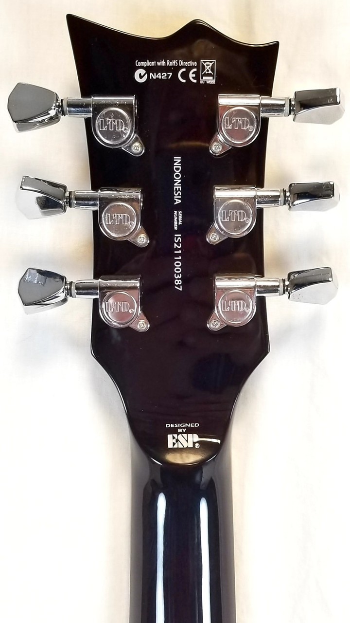ESP LTD EC-256FM, Flame Maple Top, Mahogany Body, Dark Brown Sunburst