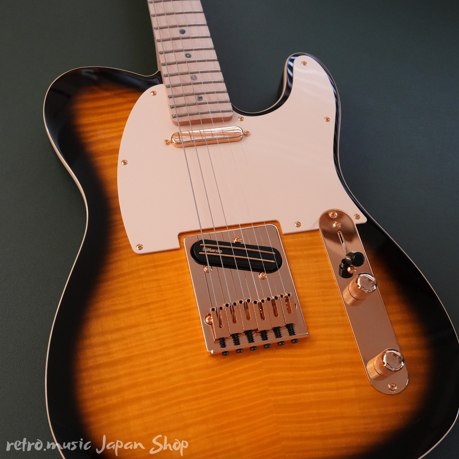 Fender Japan Exclusive Richie Kotzen Tele Brown Sun with gig bag