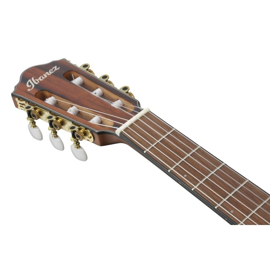 Ibanez FRH10N-BSF Nylon Electric Guitar Brown Sunburst Flat FR Hollow Body