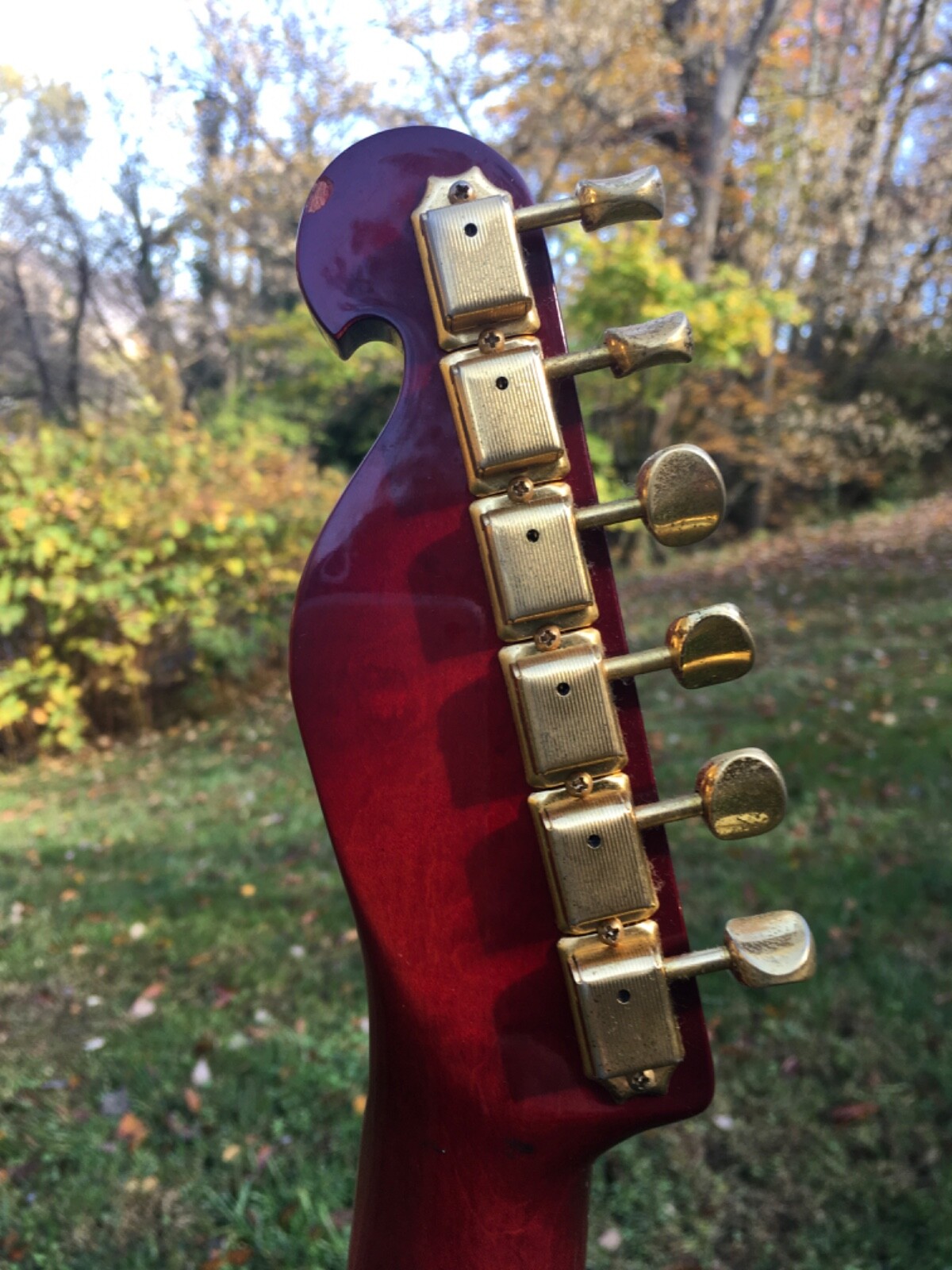 Bill’s Brothers , ( Bill Lawrence) Morris, Telecaster