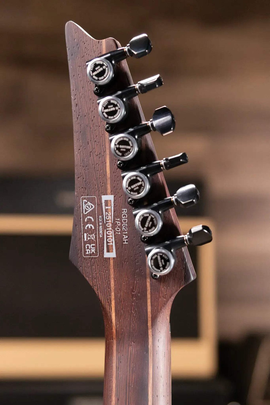 Ibanez RGD621AHMNF Standard Electric Guitar – Midnight Shade Fade