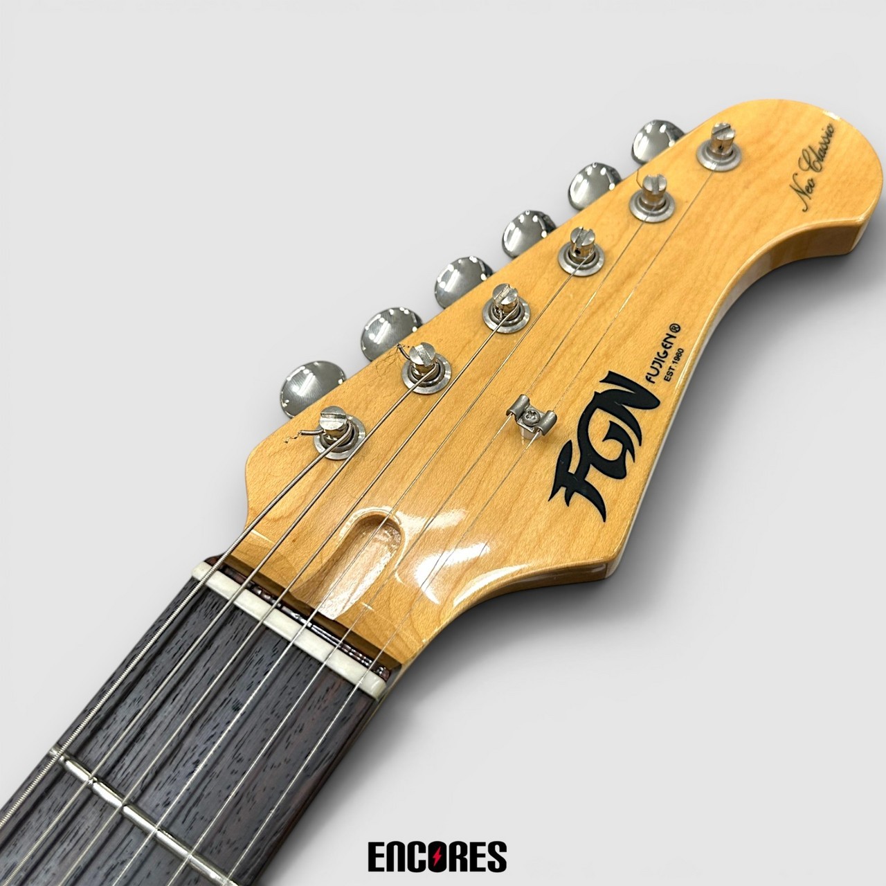 FUJIGEN FGN NST200RAL
