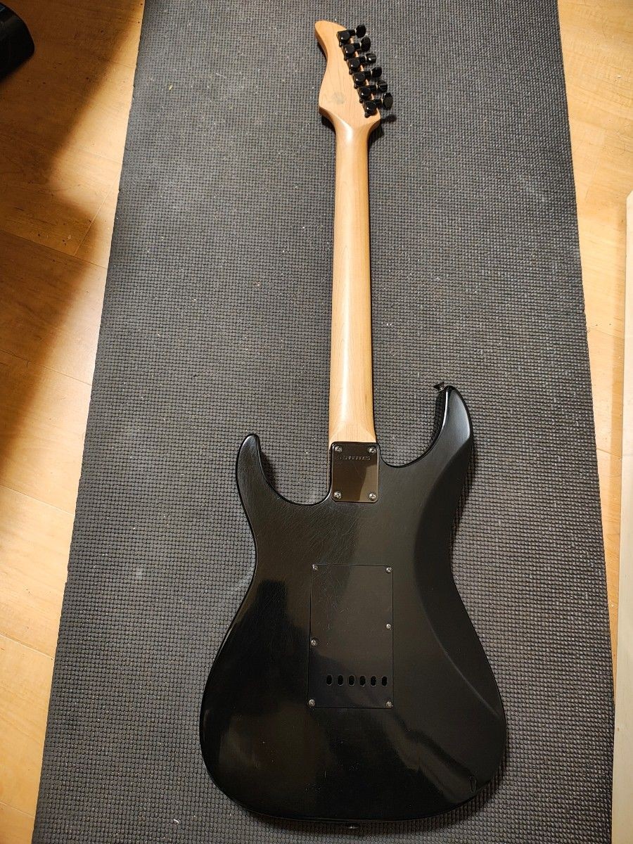 FERNANDES SFR-50 Made in Japan with Soft Case