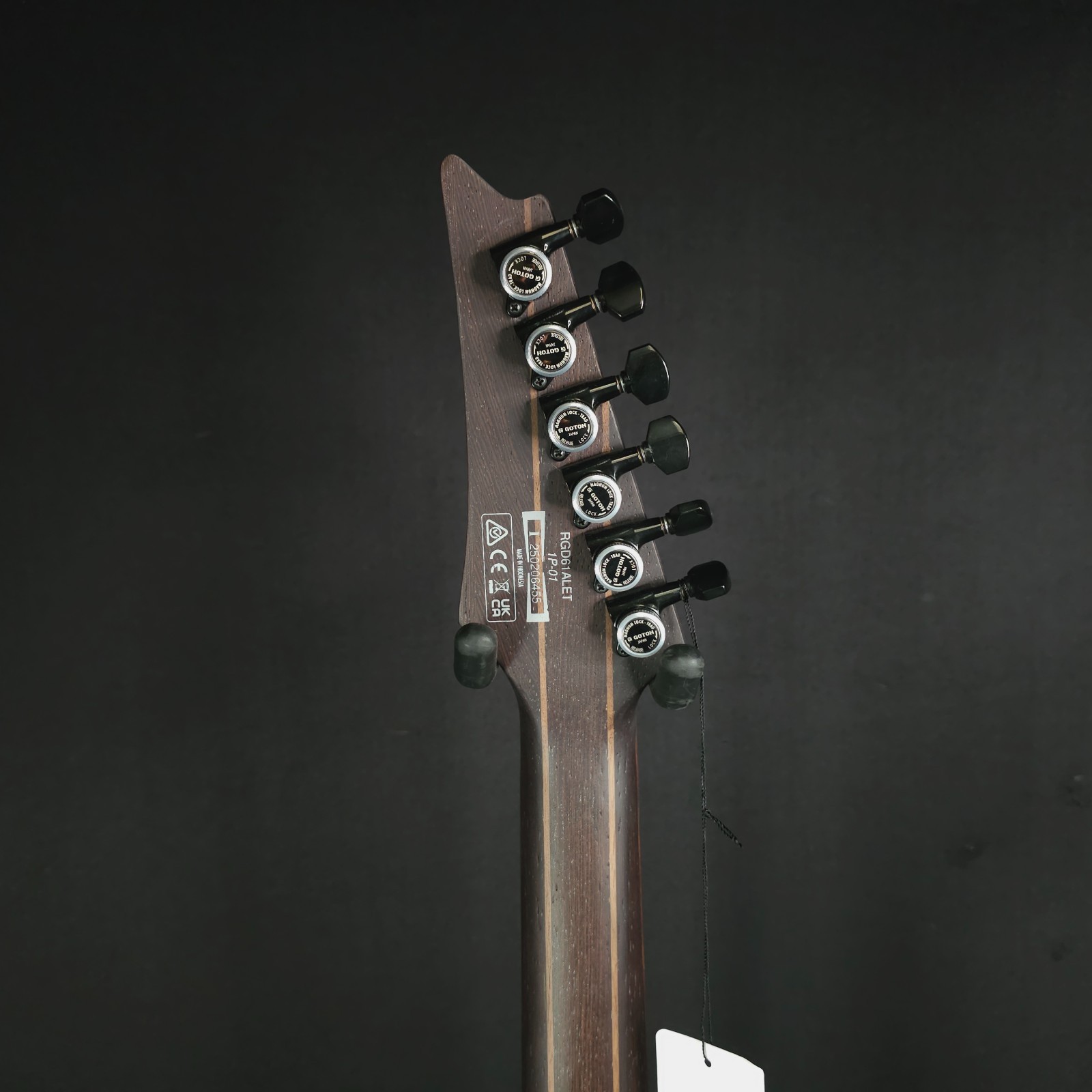 Ibanez RGD61ALETMGM Electric Guitar Evertune Bridge Fishman Fluence