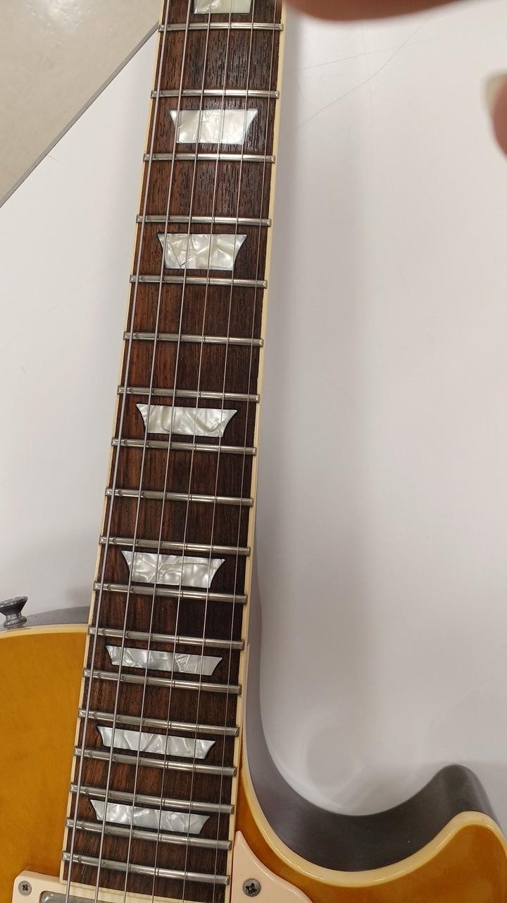 ORVILLE Les Paul Standard Les Paul Type