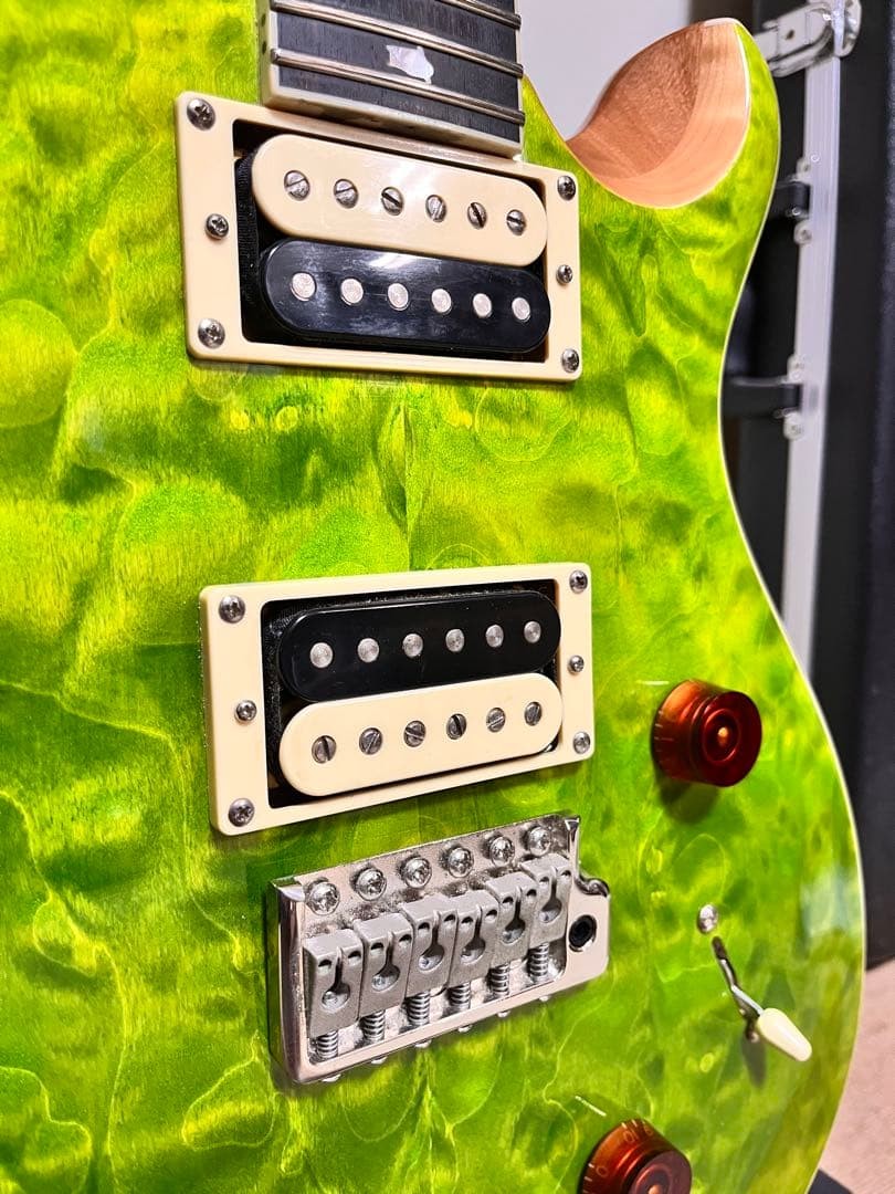 PRS SE Custom 24 Quilt Eriza Verde with Case