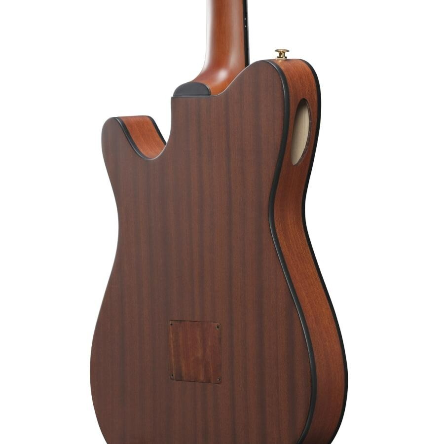 Ibanez FRH10N-NTF Nylon Electric Guitar Natural Flat FR Hollow Body with Gig Bag