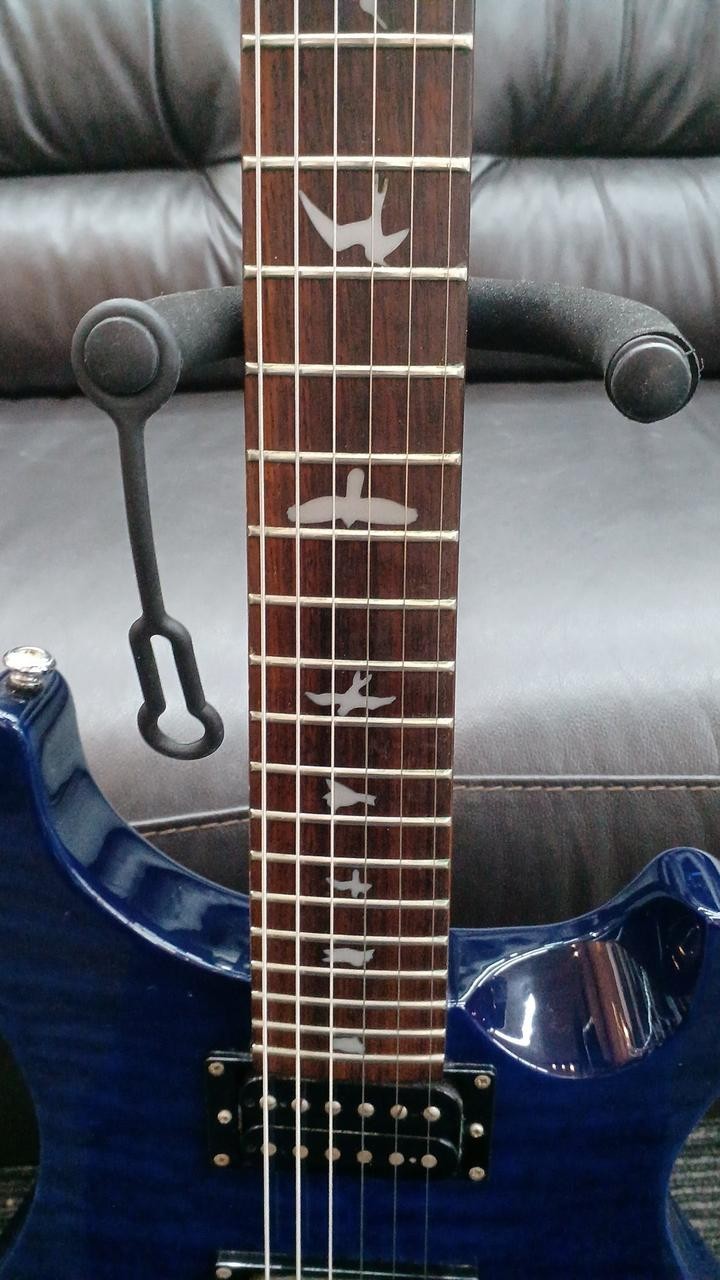 PRS SE CUSTOM 24 25TH ANNIVERSARY Electric Guitar