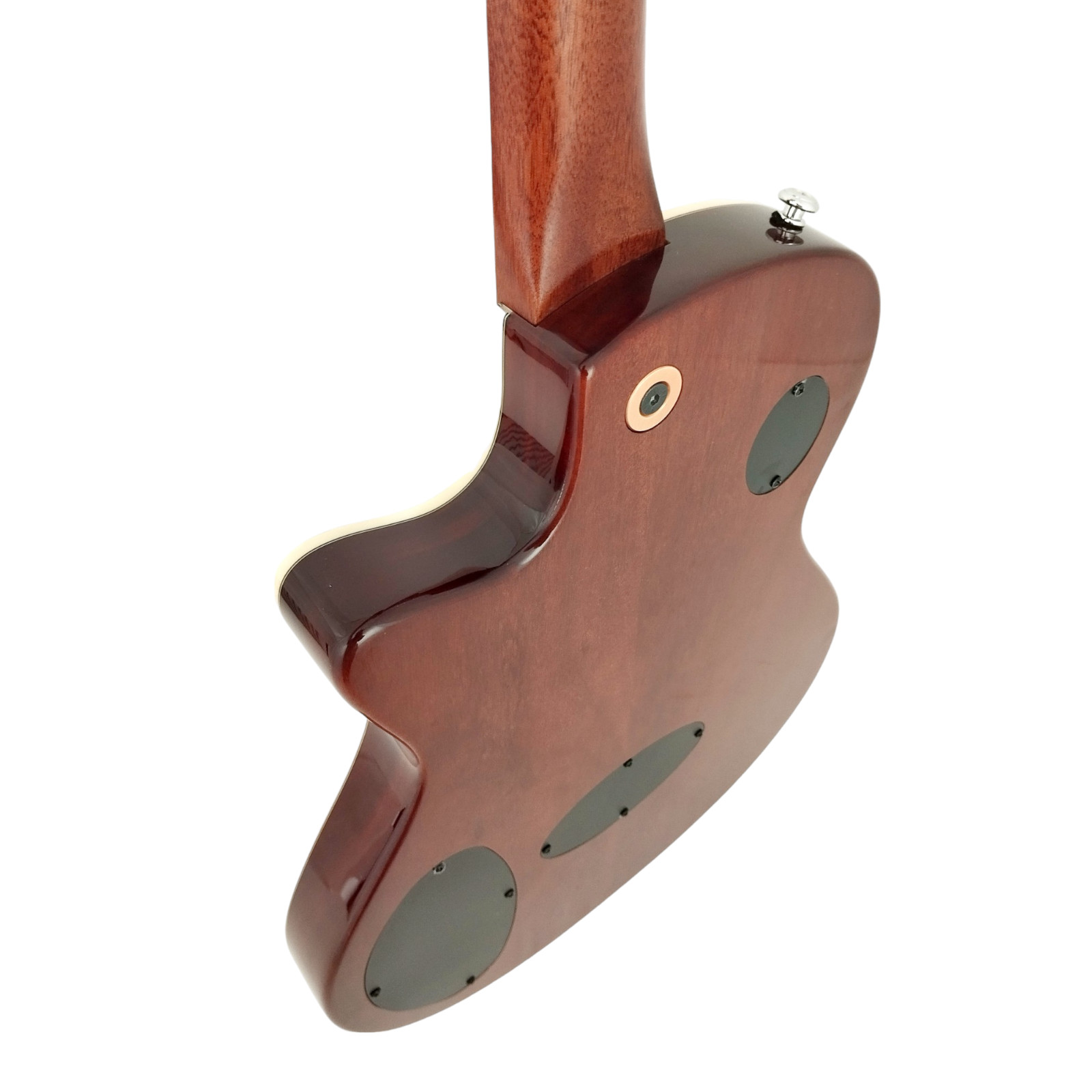 The Swiss Army Knife of Hybird Electric-Acoustic Guitars MULTISPECIALIST2