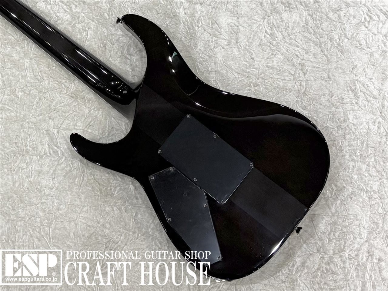 E-II Horizon SGZ Custom Quilt See Thru Black X JAPAN SUGIZO Signature Model Used