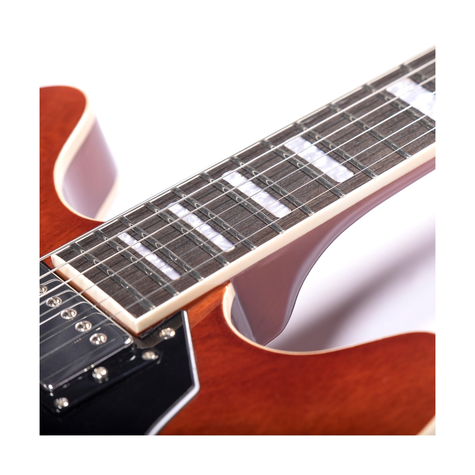 Semi-Hollow Body Electric Guitar RD-100 Jazz Guitar with F-Hole,Maple neck,hu…
