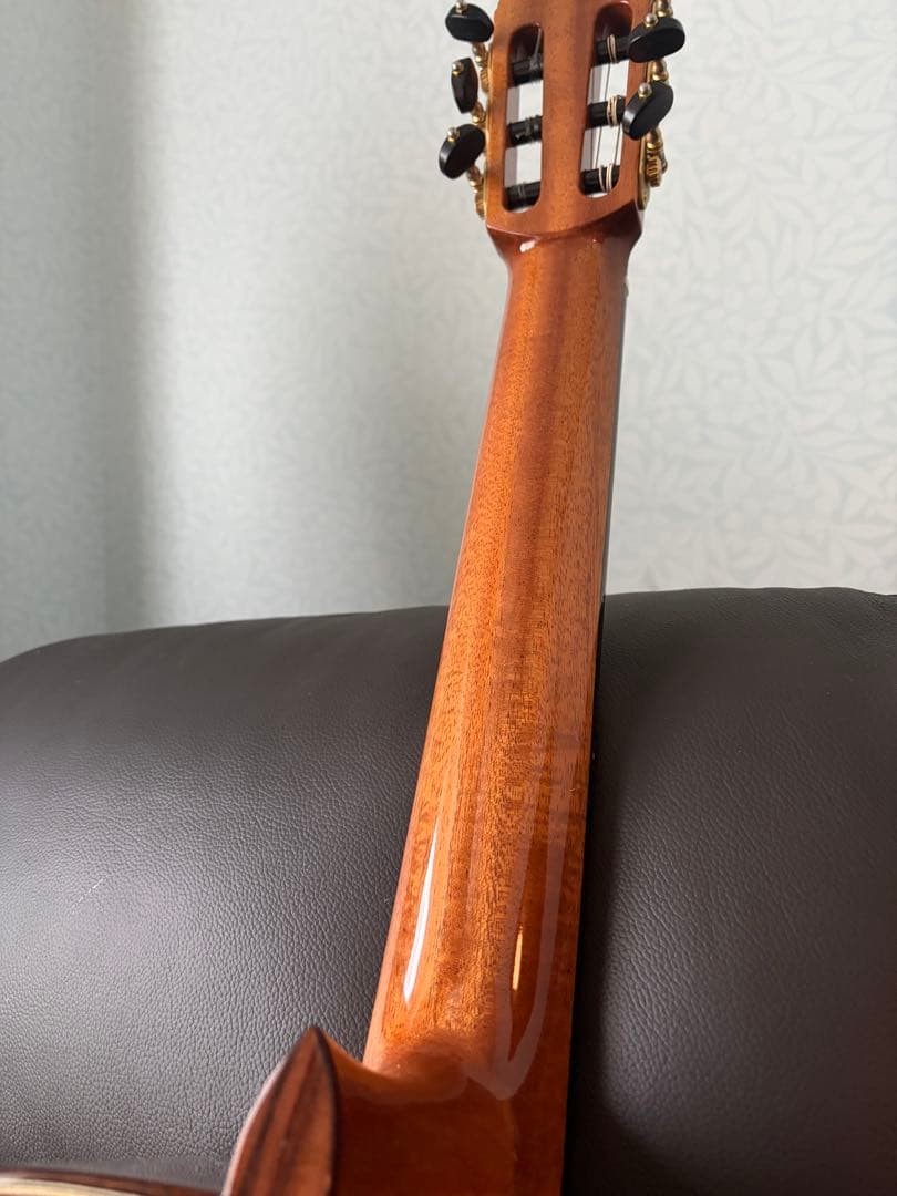 Martinez hauser with case