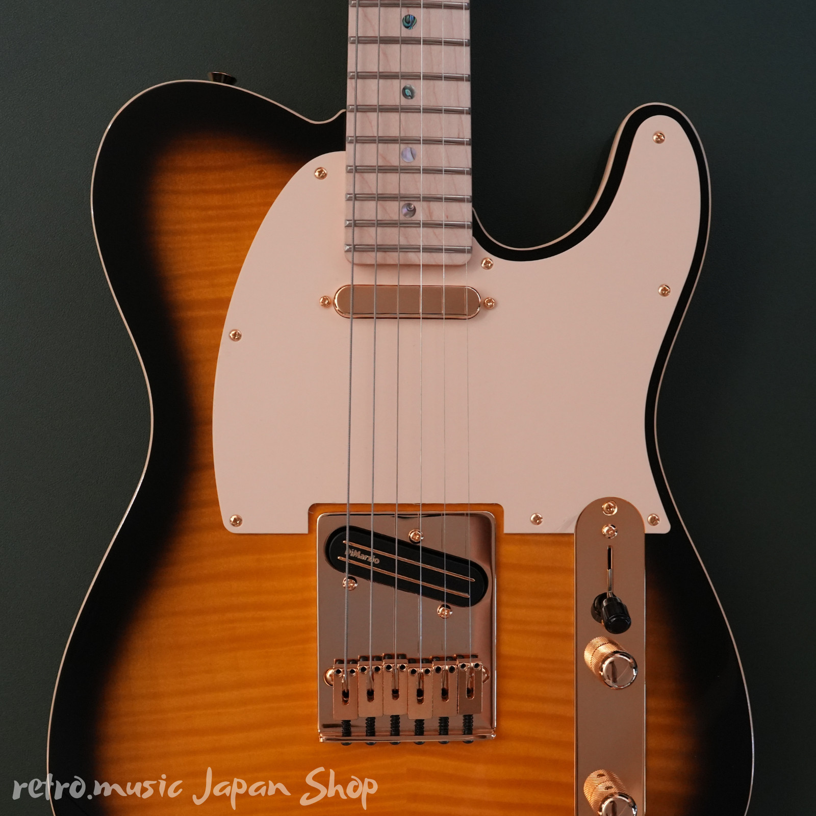 Fender Japan Exclusive Richie Kotzen Tele Brown Sun with gig bag