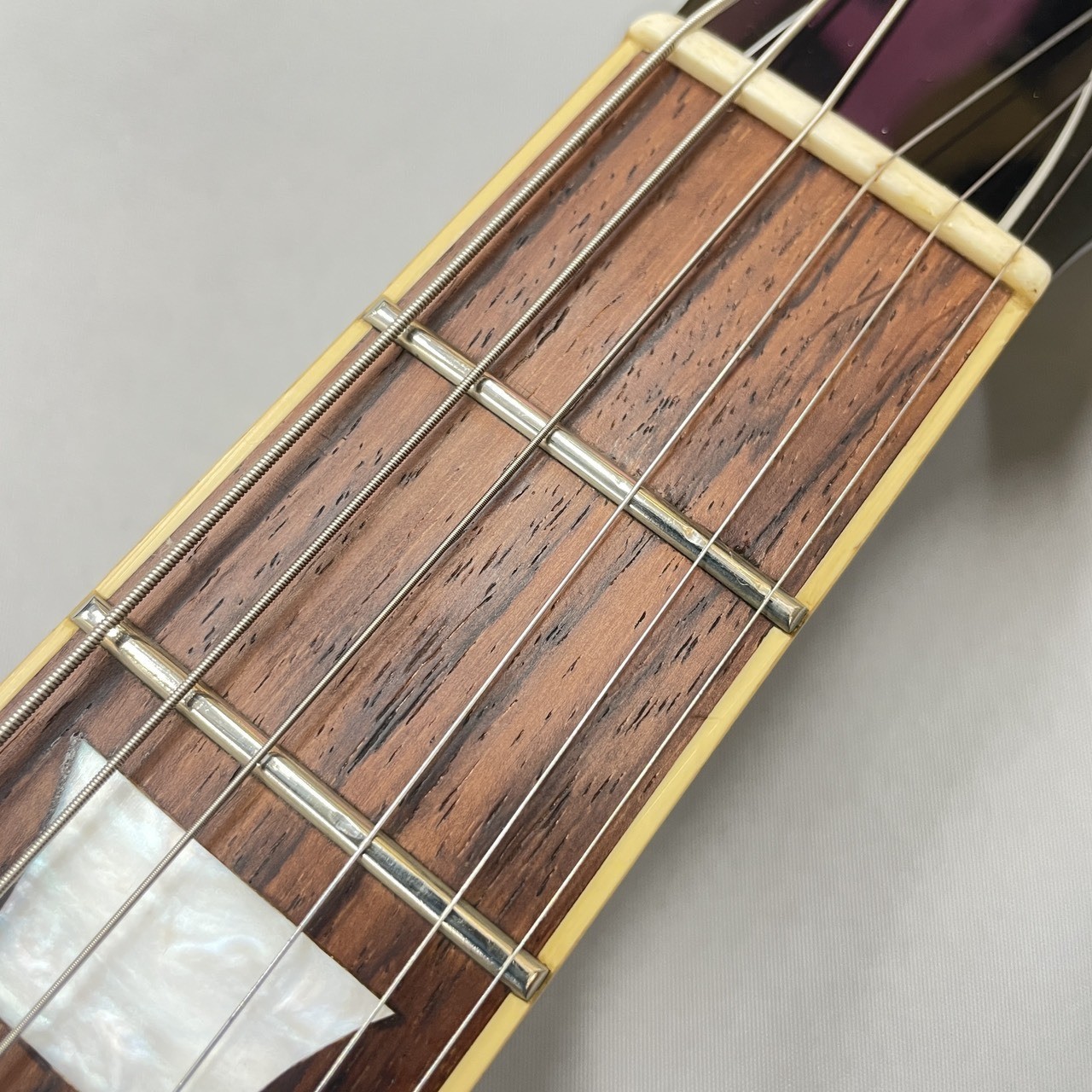 EDWARDS E-LP-STD (no260713)