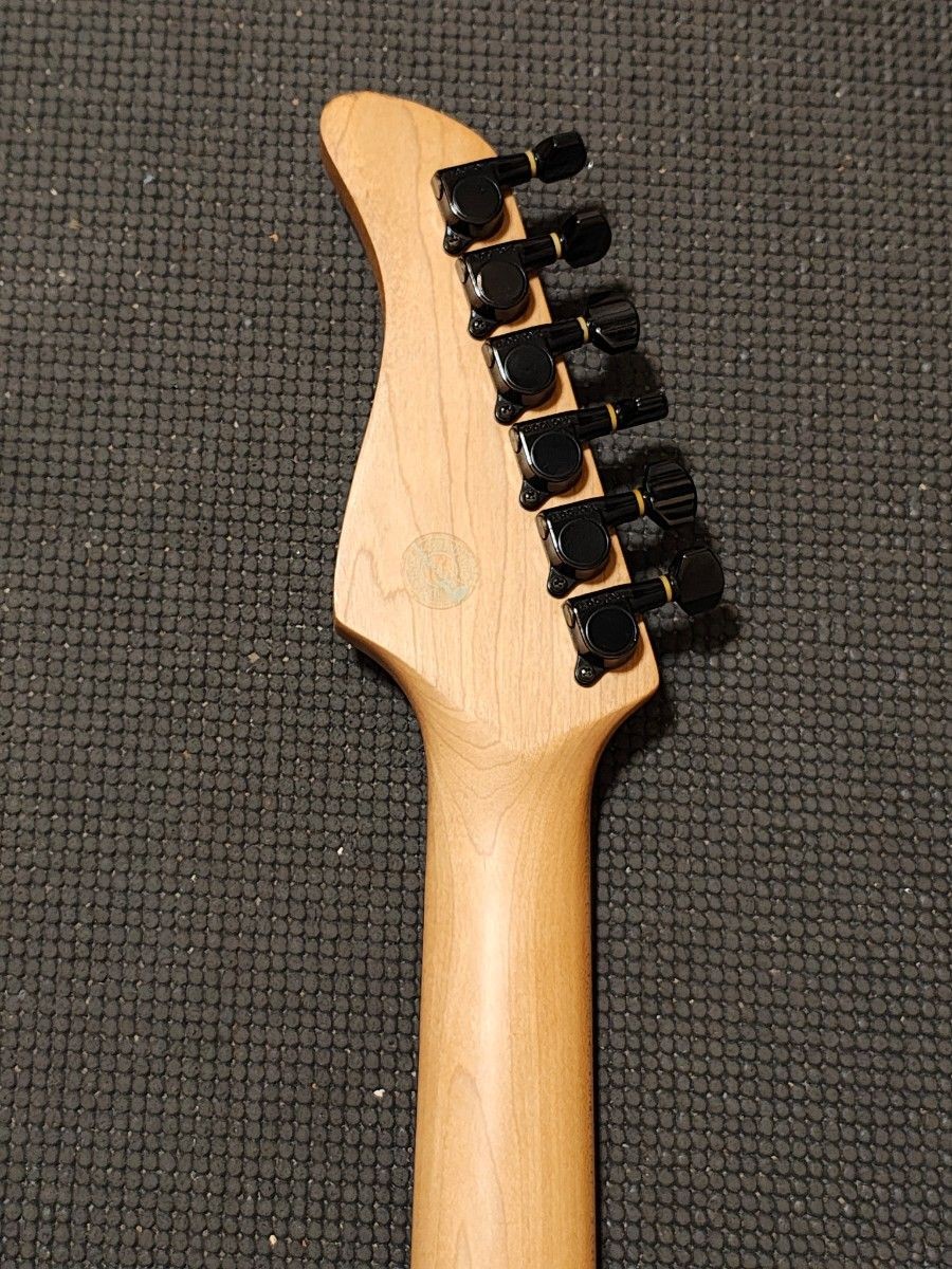 FERNANDES SFR-50 Made in Japan with Soft Case