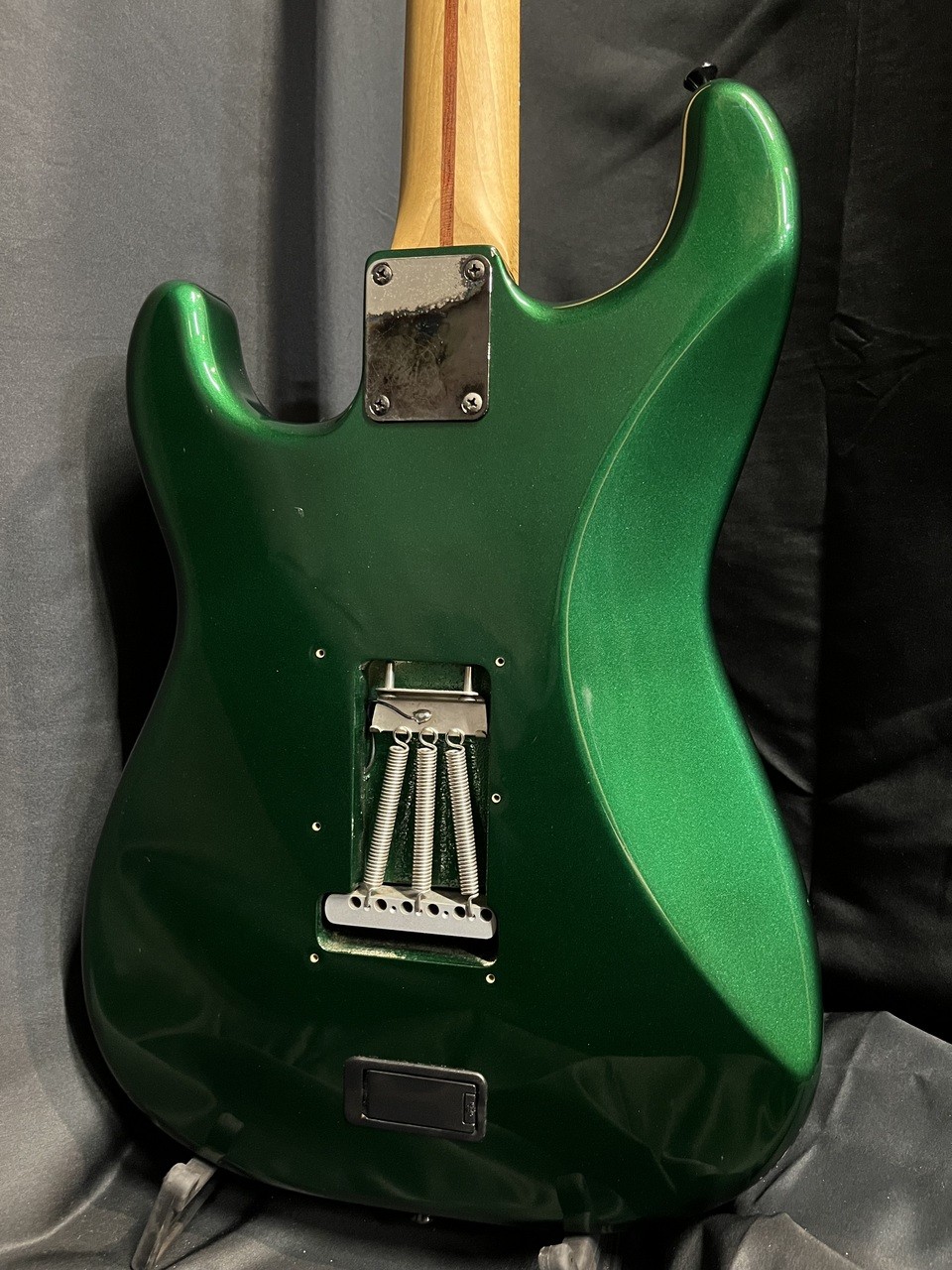 FUJIGEN FGN NCST CTM