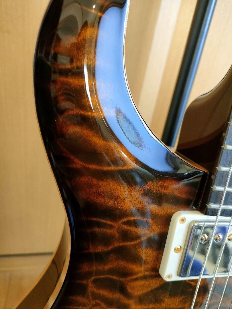 Electric Guitar Paul Reed Smith Private Stock Jacaranda Hollow with Hard Case