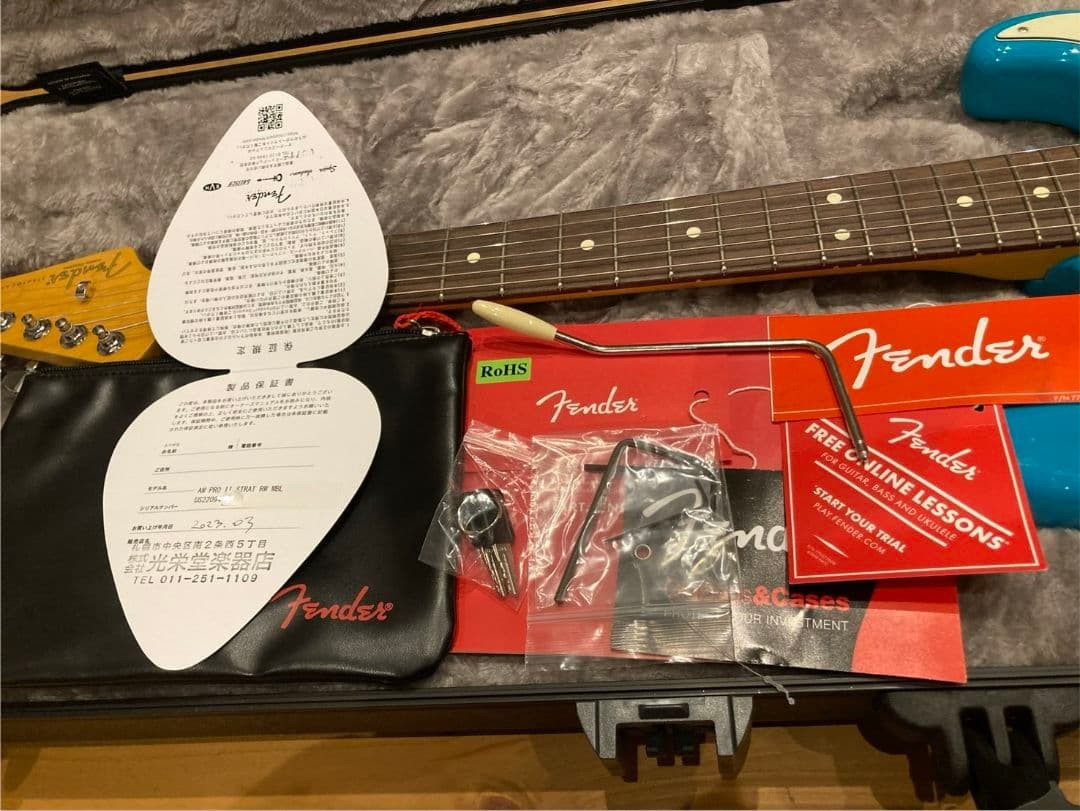 Fender American Professional Ii Strat Koeido No.MG864