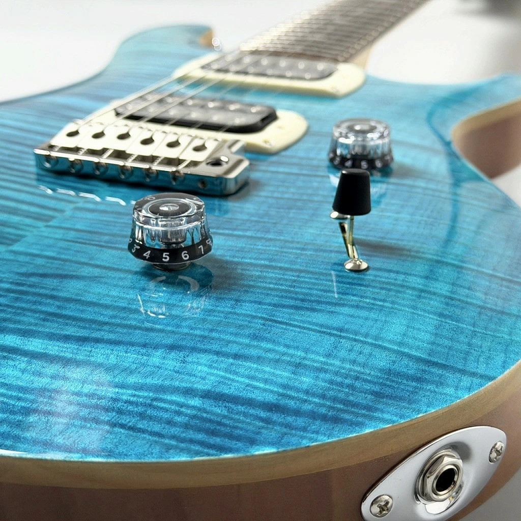 Paul Reed Smith (PRS) SE Custom 24 -Blue Matteo (Natural Back)- 3.66kg Guitar