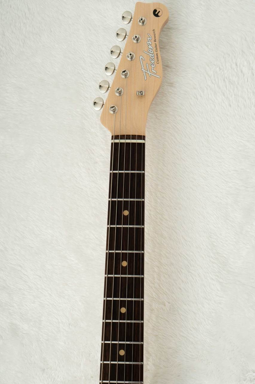FREEDOM CUSTOM GUITAR RESEARCH Custom Order TE w/White Pearl -White #GGbhk