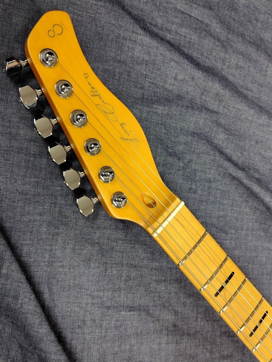 Sire T7 Fm Tbl Transparent Blue Larry Carlton Safe delivery from Japan