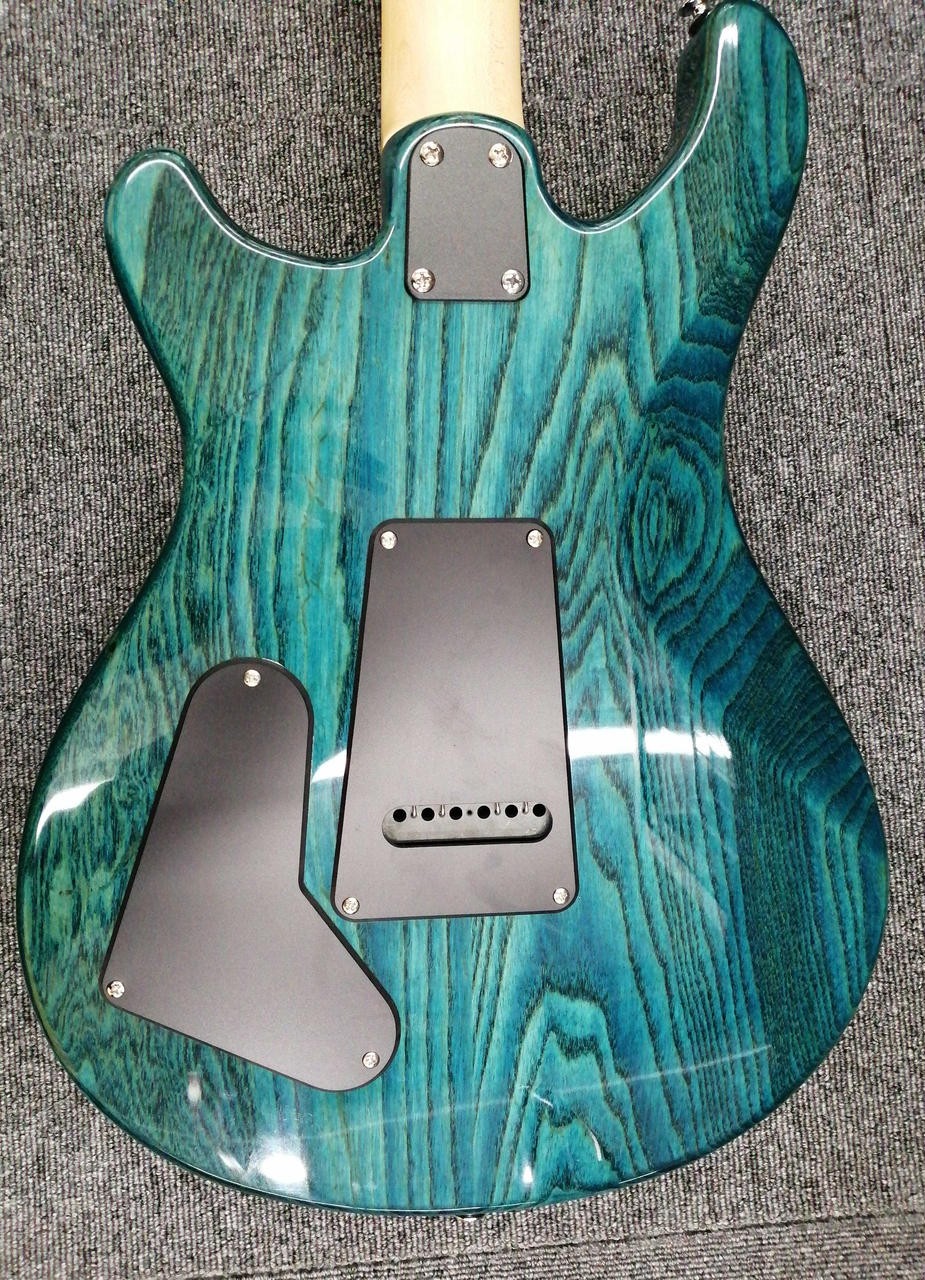 PAUL REED SMITH SE Swamp Ash Special Electric Guitar