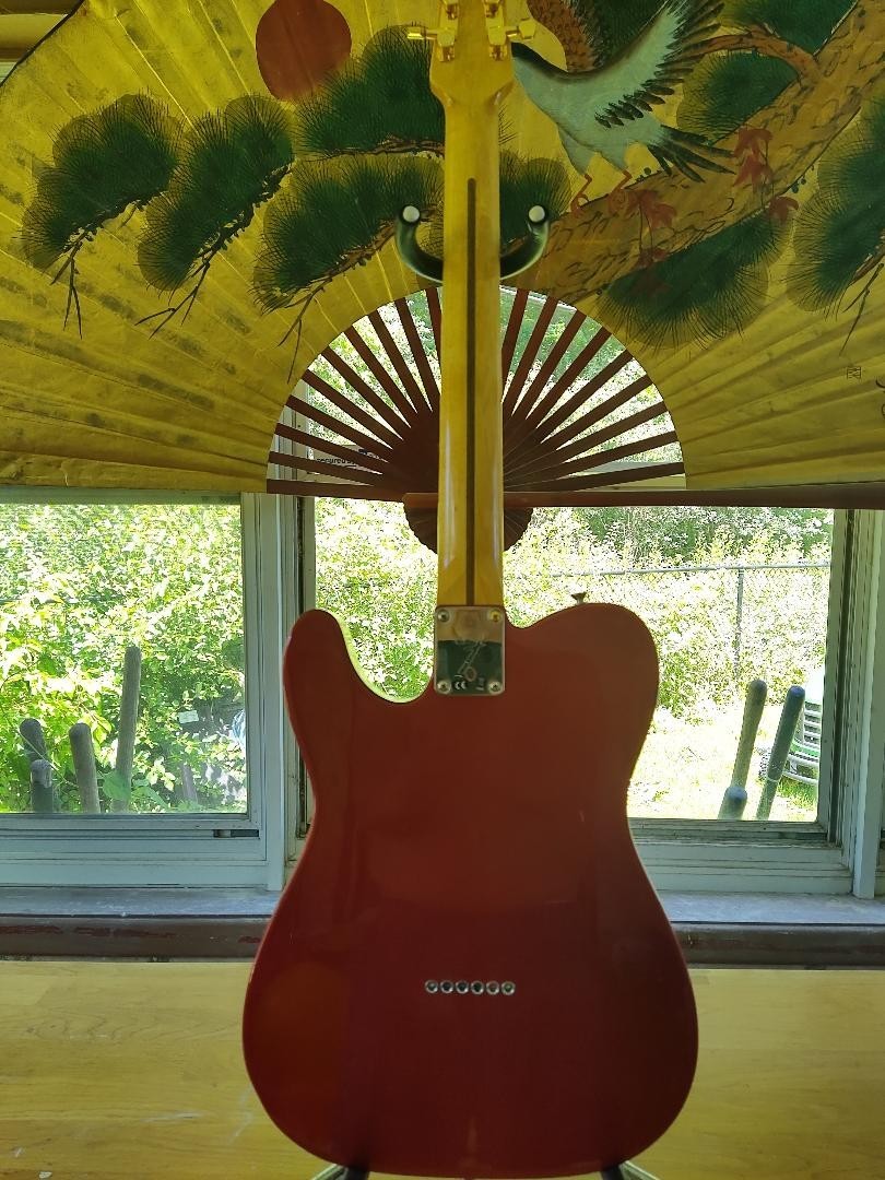 Fender Snakehead Telecaster 16 inch radius NECK FREE SHIPPING.