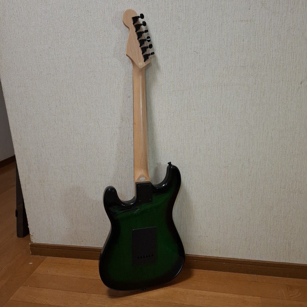 SELDER Electric Guitar Stratocaster Black Green
