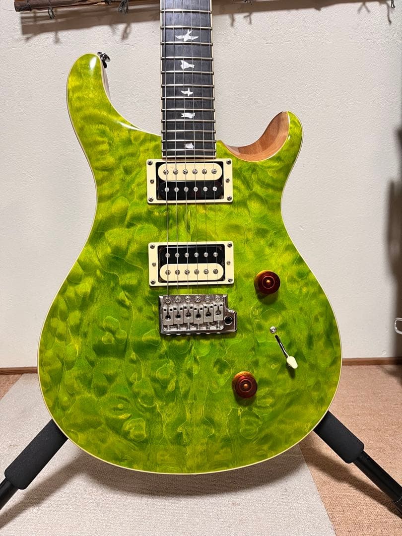 PRS SE Custom 24 Quilt Eriza Verde Case Safe packing!