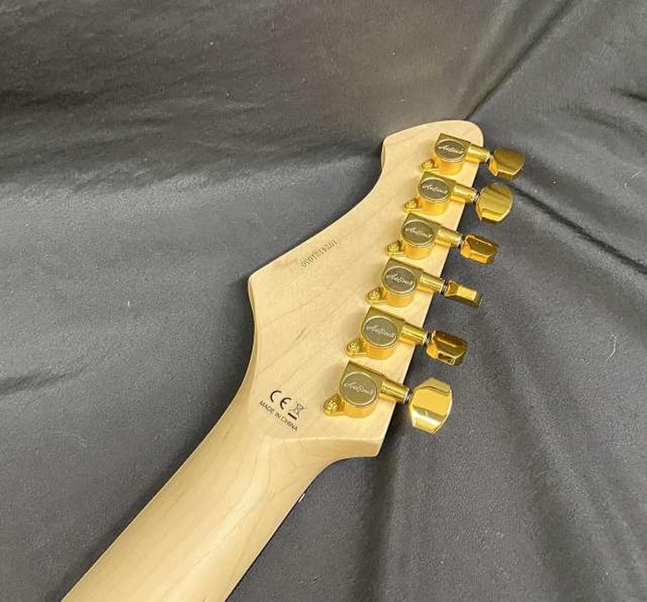 ARIA PROⅡ TEG-780NewElectric guitar