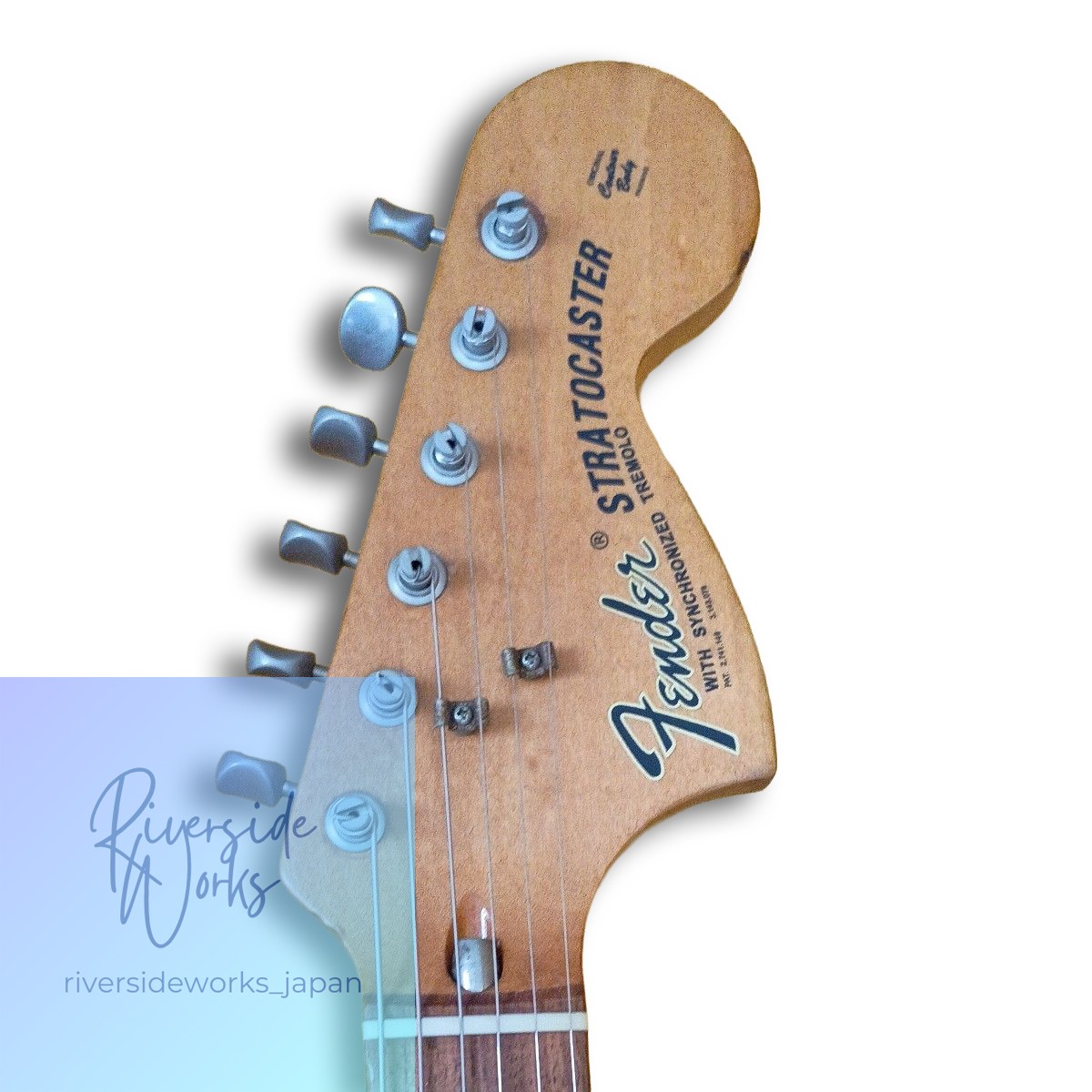 FERNANDES BURNY CUSTOM　FST-50